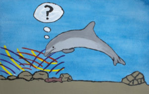 Lee más sobre el artículo Cultura animal (1): delfines mulares que usan herramientas