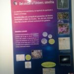 Lee más sobre el artículo Exposición de cristalografía organizada por la UB