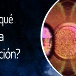 Lee más sobre el artículo El Universo En 1 Minuto: ¿Para qué sirve la clonación?