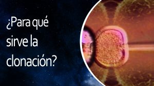 Lee más sobre el artículo El Universo En 1 Minuto: ¿Para qué sirve la clonación?