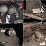Lee más sobre el artículo ¿Humanos en América hace 130.000 años? [1/2]