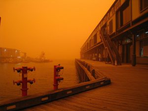Lee más sobre el artículo Extinción estelar