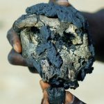 Lee más sobre el artículo Surgen dudas en relación a Sahelanthropus tchadensis (I)