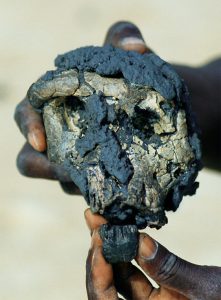 Lee más sobre el artículo Surgen dudas en relación a Sahelanthropus tchadensis (I)