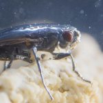 Lee más sobre el artículo ¿Qué estás comiendo?