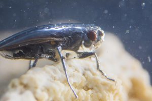 Lee más sobre el artículo ¿Qué estás comiendo?