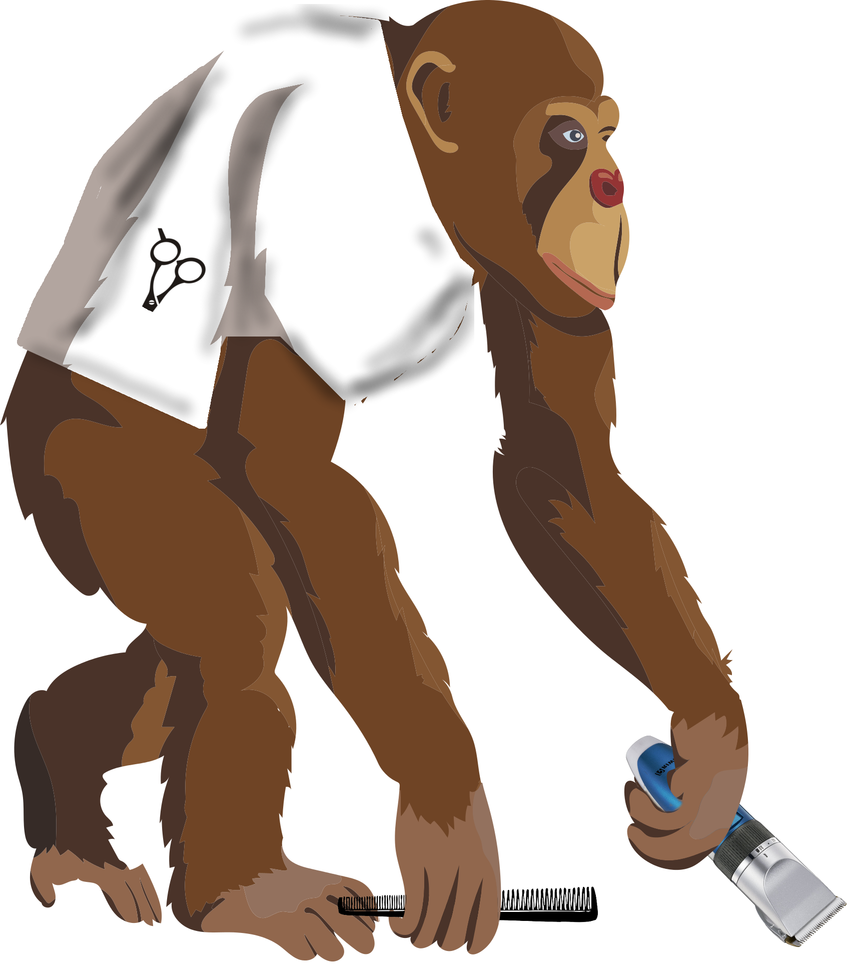 Monos sudorosos (1/5)