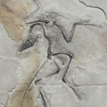 Lee más sobre el artículo Lo mejor de la semana (27 de septiembre – 3 de octubre)