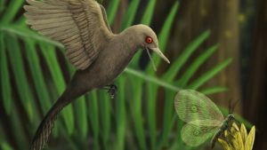 Lee más sobre el artículo El dinosaurio que no llegó a ser un dinosaurio