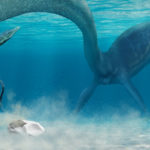 Lee más sobre el artículo ¿Cómo eran los huevos de los primeros dinosaurios?