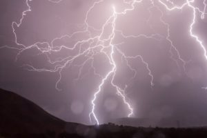 Lee más sobre el artículo Lo mejor de la semana (1 – 7 de noviembre de 2020)