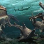 Lee más sobre el artículo La evolución de Spinosaurus
