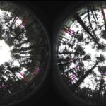 Lee más sobre el artículo Los ojos que vigilarán nuestros bosques