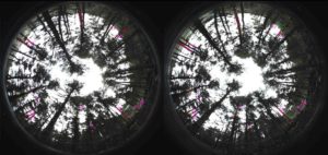 Lee más sobre el artículo Los ojos que vigilarán nuestros bosques