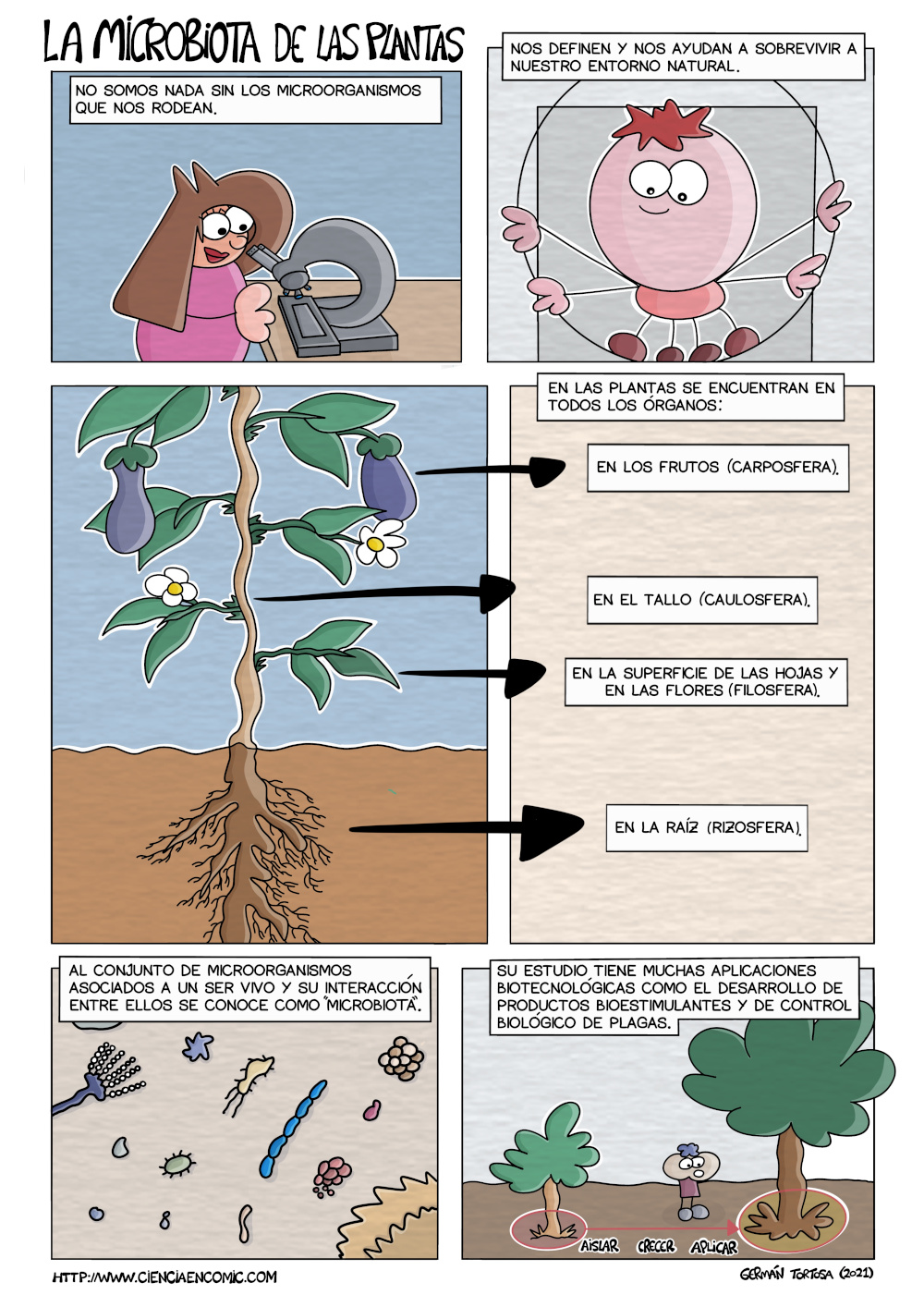 Lee más sobre el artículo Viñetas HdC: La microbiota de las plantas