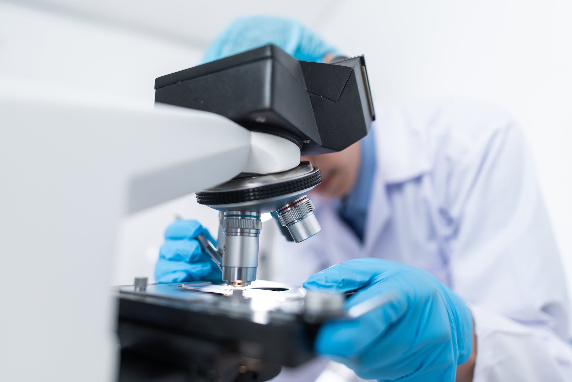 Lee más sobre el artículo Lo mejor de la semana en ciencia (11-18 junio 2023)