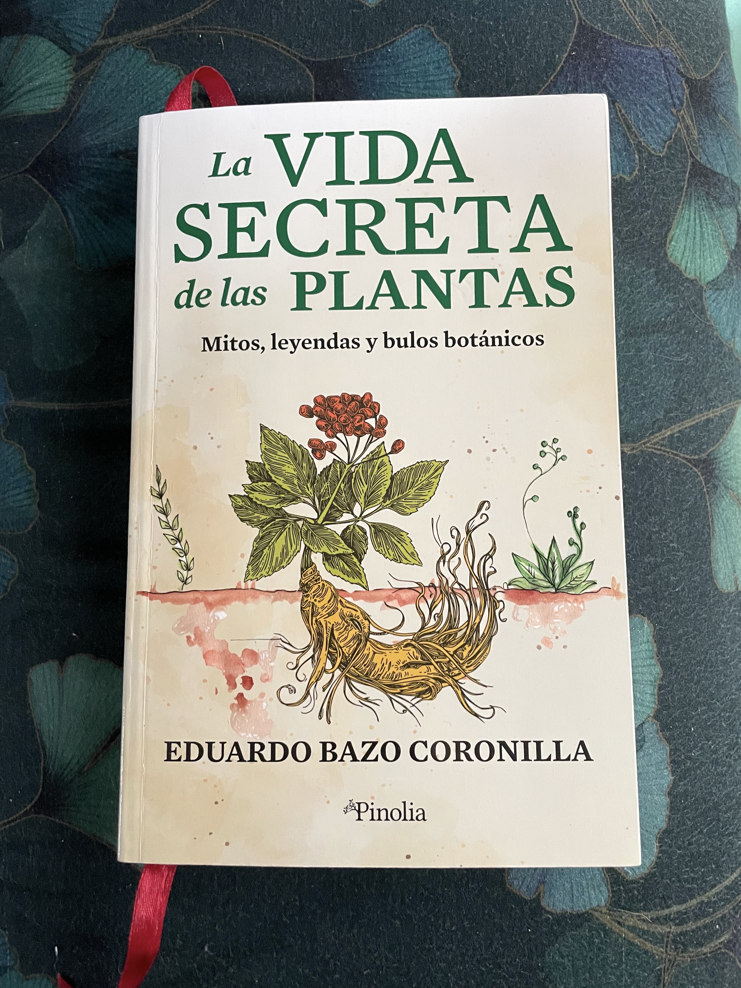 Lee más sobre el artículo Reseñas HdC: ‘La vida secreta de las plantas’, derribando mitos y creencias en torno a la botánica