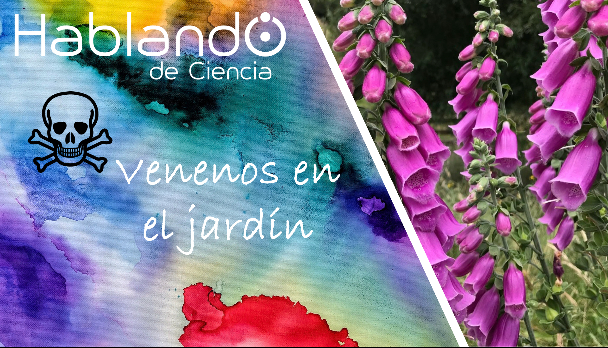 Lee más sobre el artículo Recreo de curiosidades: venenos en el jardín